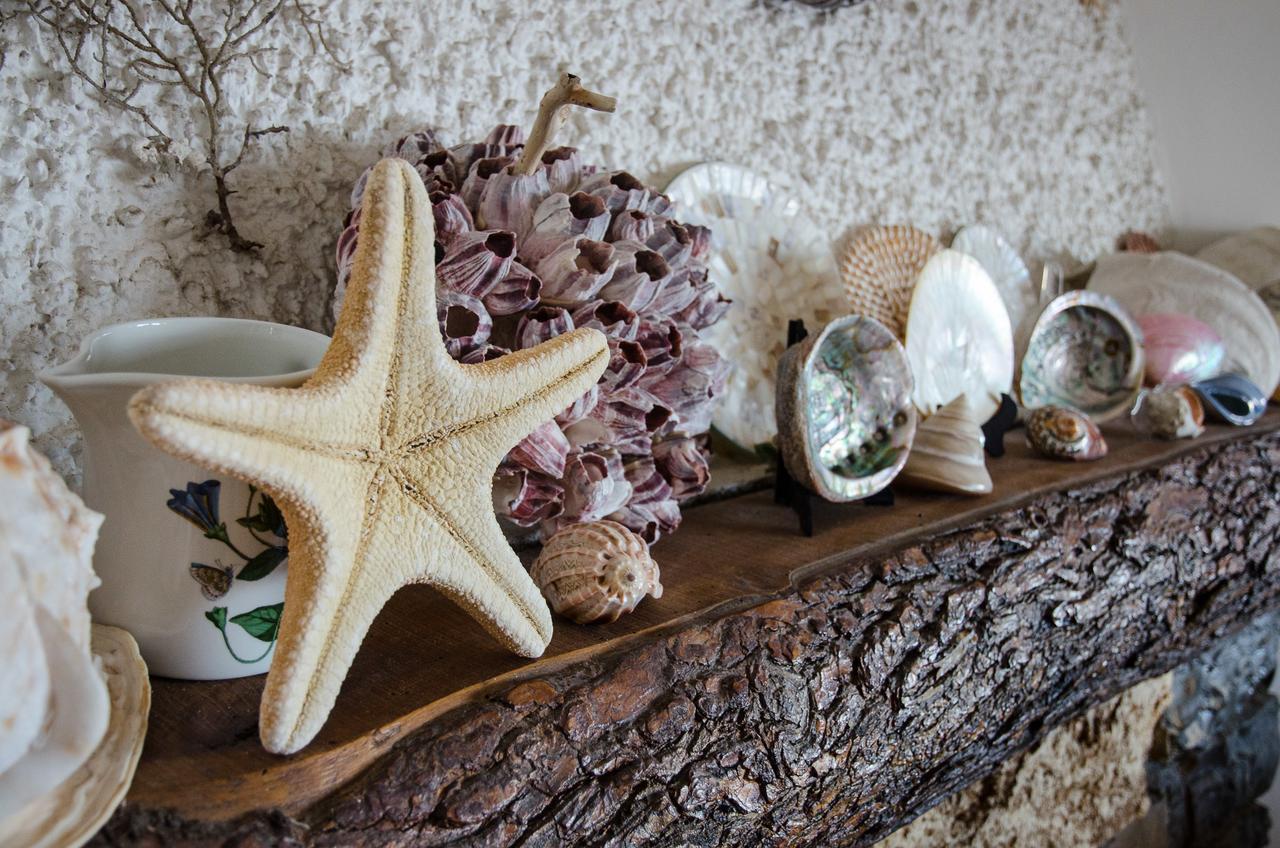 Seaside Holiday Apartment - Unique Location Cipressa エクステリア 写真